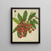 Mon Jardin à Ceylan Pl149 - George De Alwis — quadro incorniciato alla parete