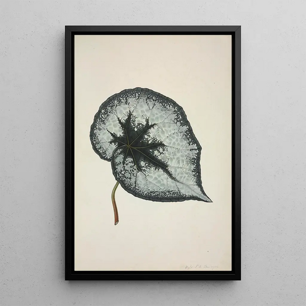 George De Alwis - Mon Jardin a Ceylan Pl168.webp