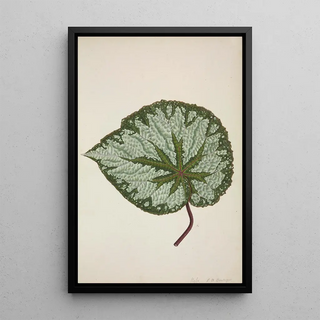 George De Alwis - Mon Jardin a Ceylan Pl199.webp