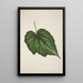 Mon Jardin à Ceylan Pl222 - George De Alwis — quadro incorniciato alla parete