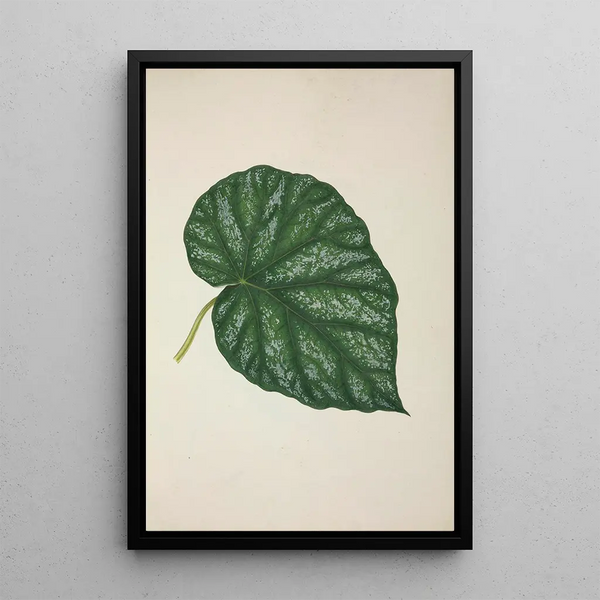 George De Alwis - Mon Jardin a Ceylan Pl261.webp