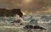 Una mare agitata a Moeraki - George Edmund Butler — vista dell’opera