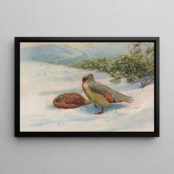 Perdrix di sangue del Nord - George Edward Lodge — quadro incorniciato alla parete