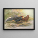 Kaleege ibrido di Oates - George Edward Lodge — quadro incorniciato alla parete