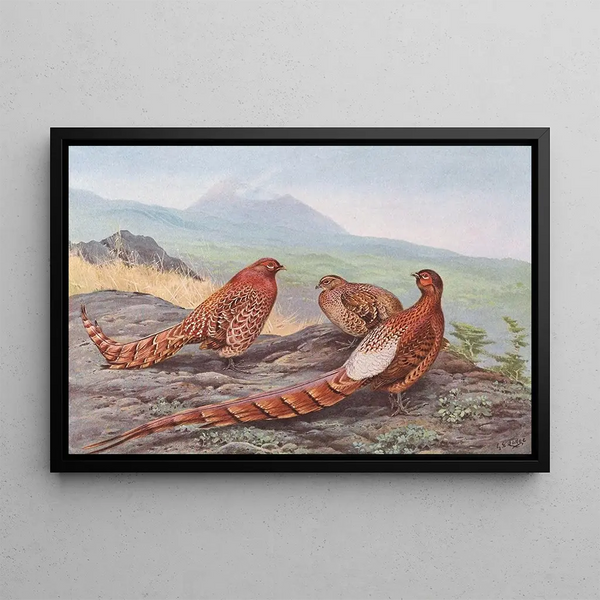 Fagiano rame scintillante Fagiano rame di Ijima - George Edward Lodge — quadro incorniciato alla parete