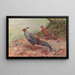 Lophure Siamois - George Edward Lodge — quadro incorniciato alla parete