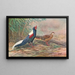 Kaleege di Swinhoe - George Edward Lodge — quadro incorniciato alla parete
