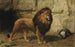 Un leone che custodisce la sua tana - George Goodwin Kilburne Jr — vista dell’opera