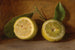 Citrons - George Henry Hall — vista dell’opera