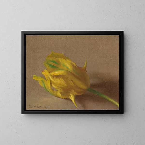 Tulipano - George Henry Hall — quadro incorniciato alla parete