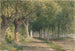 Allée d'arbres - George Henry Smillie — vista dell’opera