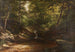 Cascata nella foresta - George Hetzel — vista dell’opera