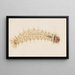 acquerello di entomologia Pl032 - George Hudson — quadro incorniciato alla parete