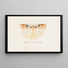 Entomologia acquerello Pl095 - George Hudson — quadro incorniciato alla parete