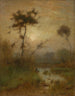 Un matin d'argent - George Inness — vista dell’opera