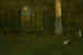 Pique-nique dans les bois Montclair New Jersey - George Inness — vista dell’opera