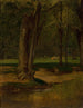 Ruisseau à truites di North Conway - George Inness — vista dell’opera