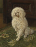 Caniche su un tappeto verde - George L. Harrison — vista dell’opera