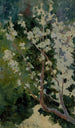 Capri - George Randolph Barse — vista dell’opera