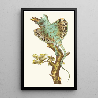 George Shaw - THE FLYING DRAGON.webp