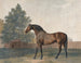 Enclume - George Stubbs — vista dell’opera