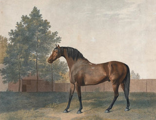 George Stubbs - Anvil.webp