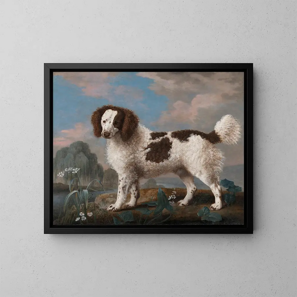 Spaniel Norfolk marrone e bianco - George Stubbs — quadro incorniciato alla parete