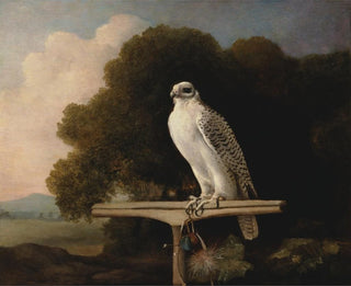George Stubbs - Greenland Falcon.webp