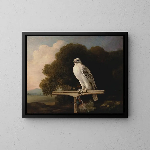 Faucon du Groenland - George Stubbs — quadro incorniciato alla parete