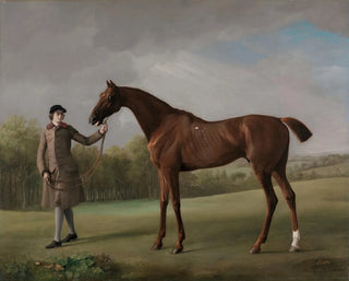 George Stubbs - Lustre held by a Groom.webp