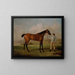Molly Longlegs con il suo fantino - George Stubbs — quadro incorniciato alla parete