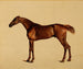 Pangloss - George Stubbs — vista dell’opera