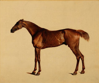 Pangloss - George Stubbs — vista dell’opera