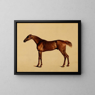 Pangloss - George Stubbs — quadro incorniciato alla parete