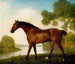 Un cacciatore di trappole - George Stubbs — vista dell’opera