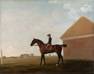 George Stubbs - Turf with Jockey up at Newmarket.webp
