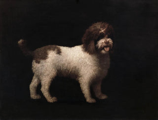 Spaniel d'acqua - George Stubbs — vista dell’opera