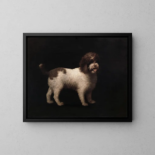 Spaniel d'acqua - George Stubbs — quadro incorniciato alla parete