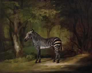 Zèbre - George Stubbs — vista dell’opera