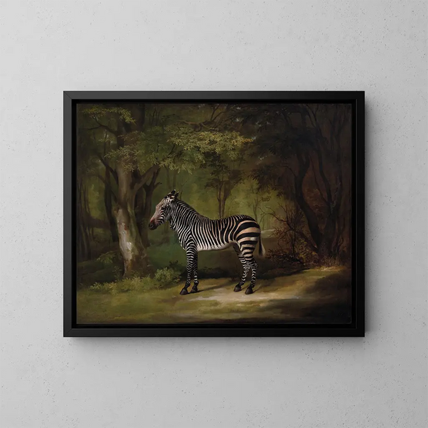 Zèbre - George Stubbs — quadro incorniciato alla parete