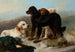Pronto per lo sport - George W Horlor — vista dell’opera