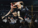 Cervo chez Sharkey's - George Wesley Bellows — vista dell’opera