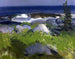 Rivage coperto di viti, isola Monhegan - George Wesley Bellows — vista dell’opera