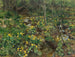 Souci - Gerhard Munthe — vista dell’opera