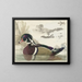Canard di Caroline - Gerrit van den Heuvel — quadro incorniciato alla parete