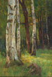 Une forêt de bouleaux - Gertrud Staats — vista dell’opera