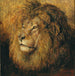 Tête de lion - Geza Vastagh — vista dell’opera