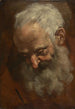 Tête d'un homme barbu Nicodème - Giacomo Cavedone — vista dell’opera