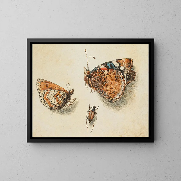Due farfalle e un altro insetto - Giovanna Garzoni — quadro incorniciato alla parete