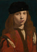 Portrait d'un jeune homme - Giovanni Antonio Boltraffio — quadro incorniciato alla parete